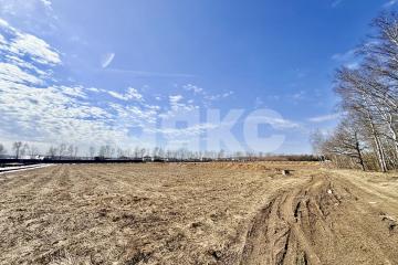 Фото №1: Дачное некоммерческое партнерство - Раменской агрохимстанции (РАОС), 12