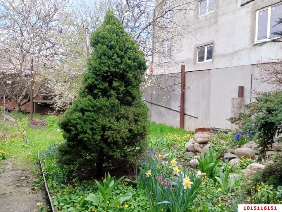 Фото №8: Дом 70 м² + 2.1 сот. - Краснодар, Центральный внутригородской округ, мкр. Покровка, ул. Володи Головатого, 579