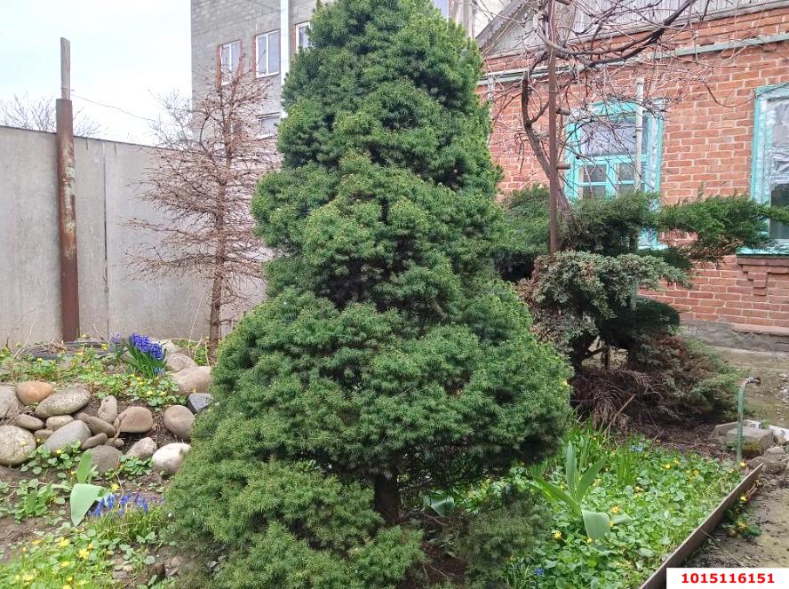 Фото №6: Дом 70 м² + 2.1 сот. - Краснодар, Центральный внутригородской округ, мкр. Покровка, ул. Володи Головатого, 579