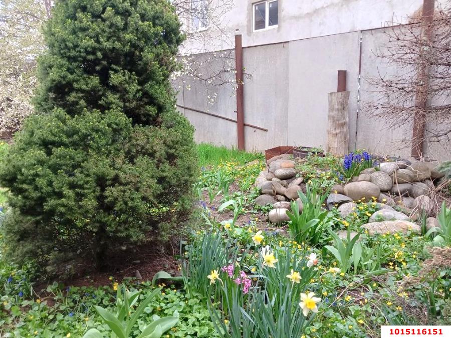 Фото №7: Дом 70 м² + 2.1 сот. - Краснодар, Центральный внутригородской округ, мкр. Покровка, ул. Володи Головатого, 579