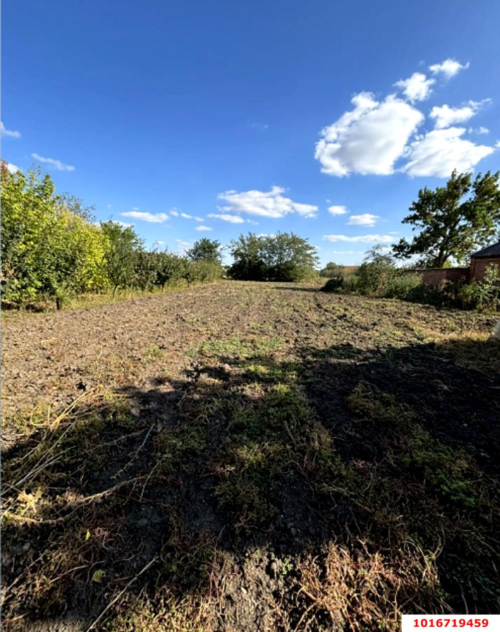 Фото №1: Земельный участок под ИЖС - Ивановская, ул. Комсомольская, 39