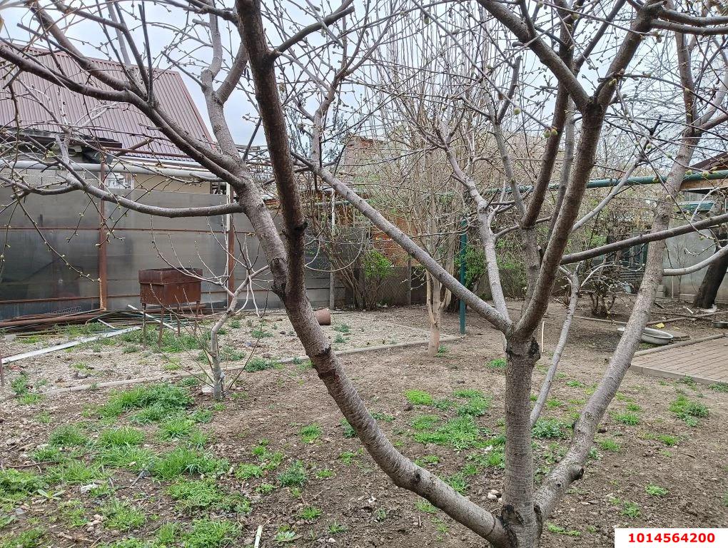 Фото №18: Дом 50 м² + 4.7 сот. - Краснодар, Прикубанский внутригородской округ, мкр. Табачная Фабрика, ул. Первомайская, 8/1