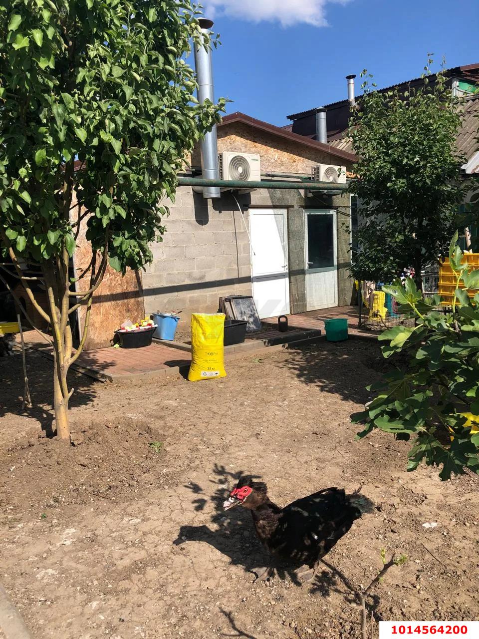 Фото №9: Дом 50 м² + 4.7 сот. - Краснодар, Прикубанский внутригородской округ, мкр. Табачная Фабрика, ул. Первомайская, 8/1