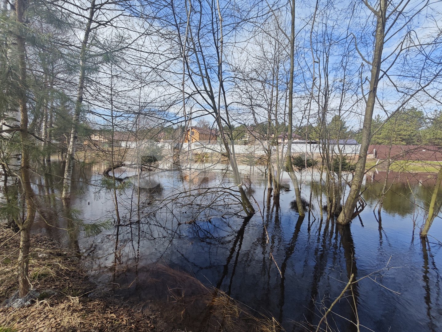 Фото №16: Дом 155 м² + 7.8 сот. - Захариха, ул. Центральная