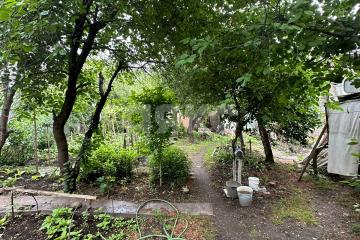 Фото №4: Личное подсобное хозяйство - Отрадная, ул. Широкая, 12В/1