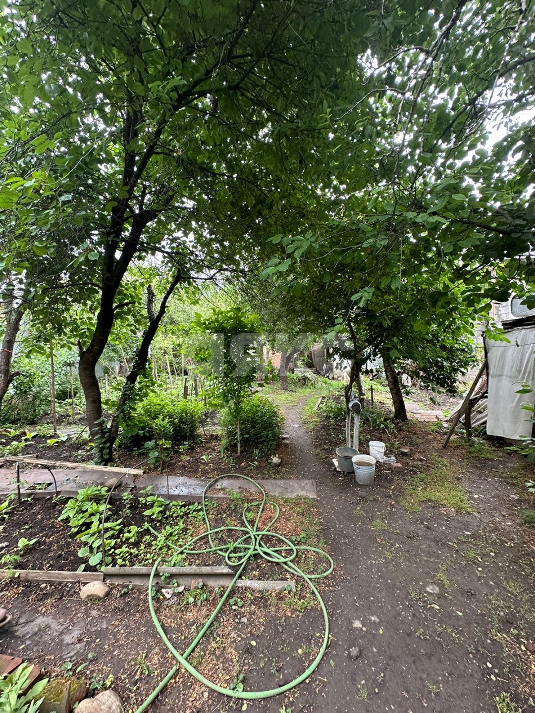 Фото №4: Личное подсобное хозяйство 7 сот. - Отрадная, ул. Широкая, 12В/1