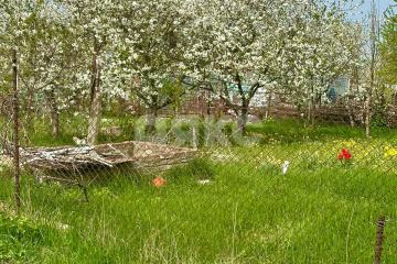 Фото №3: Личное подсобное хозяйство - Отрадная, ул. Широкая, 12В/1