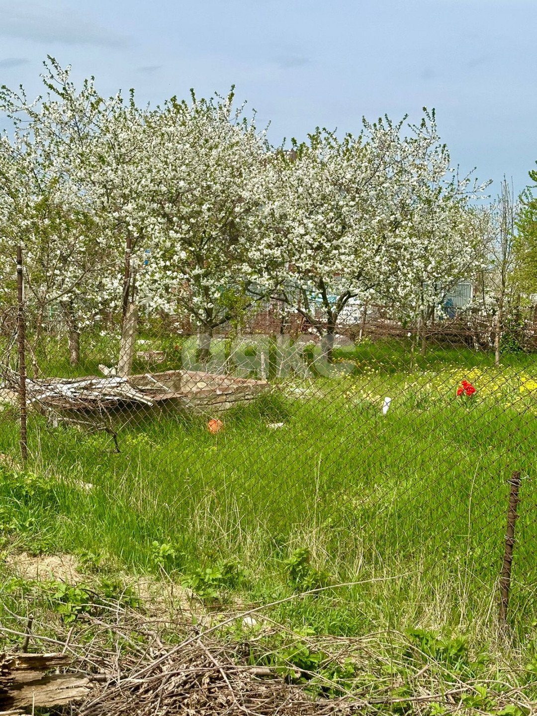 Фото №3: Личное подсобное хозяйство 7 сот. - Отрадная, ул. Широкая, 12В/1