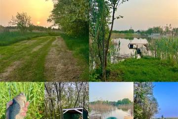 Фото №4: Коммерческая земля 29330 сот. - Осечки, 