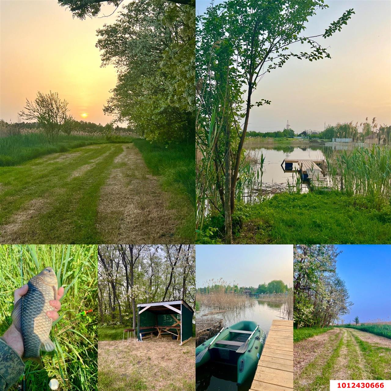 Фото №4: Коммерческая земля 29330 сот. - Осечки