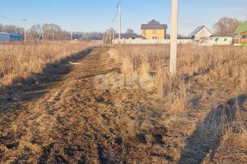 Фото №3: Личное подсобное хозяйство - Косяково, ул. Озёрная