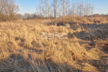 Фото №1: Личное подсобное хозяйство - Косяково, ул. Озёрная