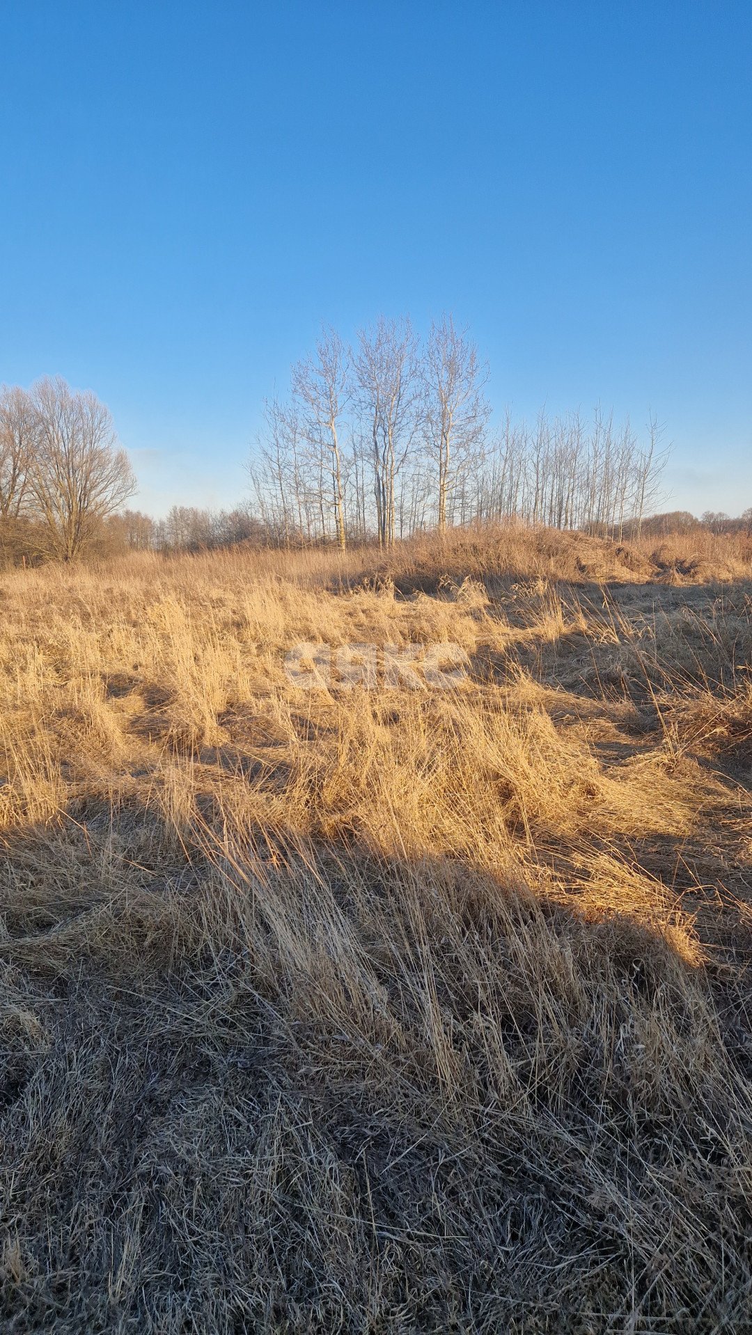 Фото №1: Личное подсобное хозяйство 6 сот. - Косяково, ул. Озёрная