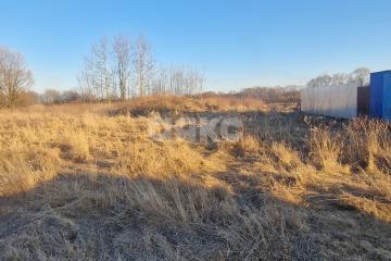 Фото №5: Личное подсобное хозяйство - Косяково, ул. Озёрная