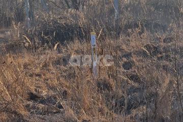 Фото №4: Личное подсобное хозяйство - Косяково, ул. Озёрная