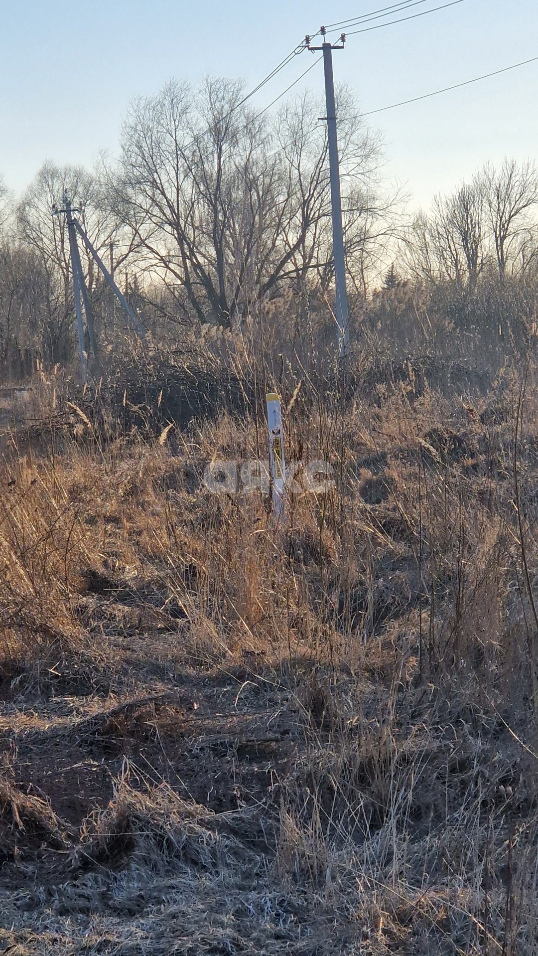 Фото №4: Личное подсобное хозяйство 6 сот. - Косяково, ул. Озёрная