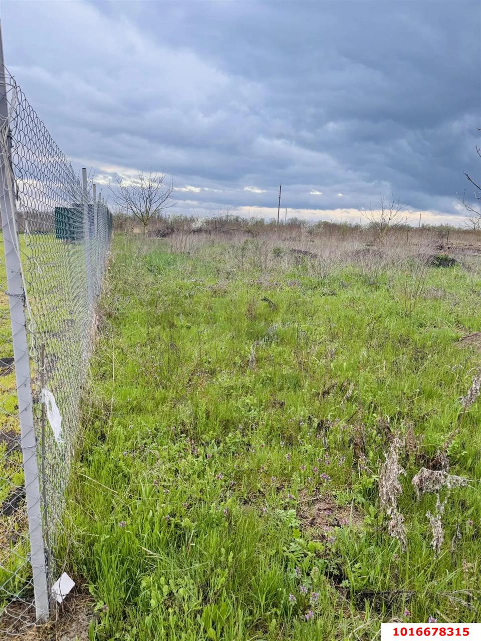 Фото №3: Земельный участок под ИЖС - Львовское, ул. Строительная, 20