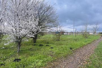 Фото №5: Земельный участок под ИЖС - Львовское, ул. Строительная, 20