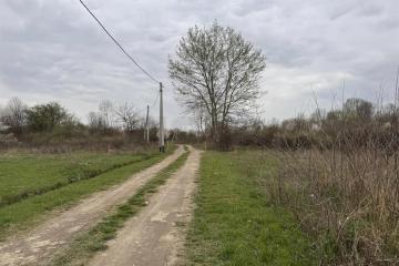 Фото №5: Земельный участок под ИЖС - СНТ Мелиоратор-1, ул. Ореховая, 10