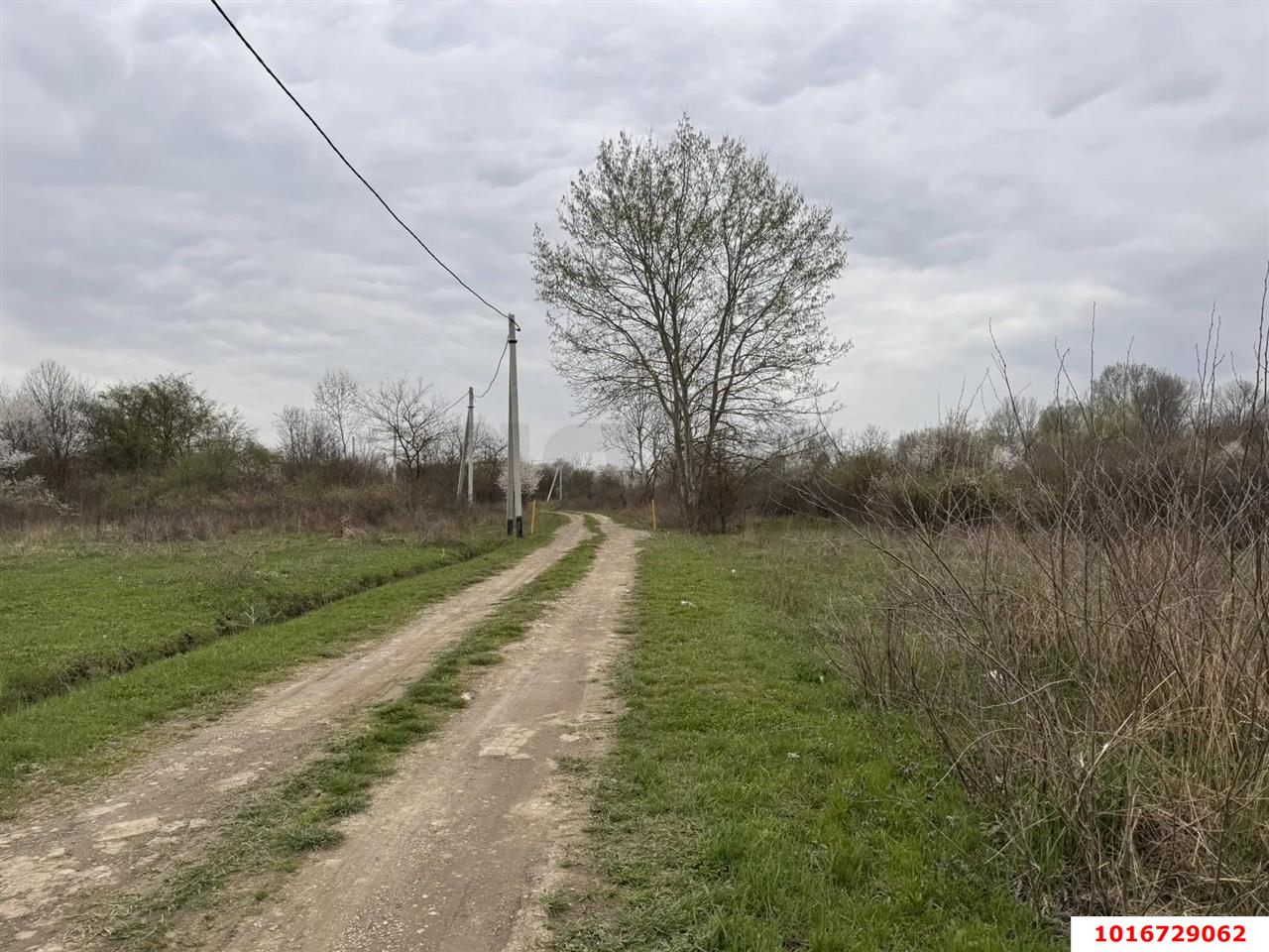 Фото №5: Земельный участок под ИЖС - СНТ Мелиоратор-1, ул. Ореховая, 10