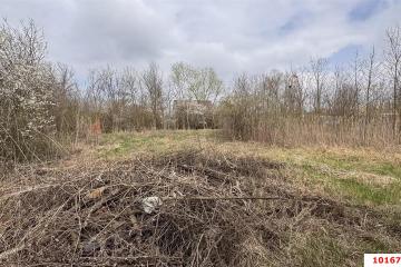 Фото №5: Земельный участок под ИЖС - Первомаец, ул. Центральная