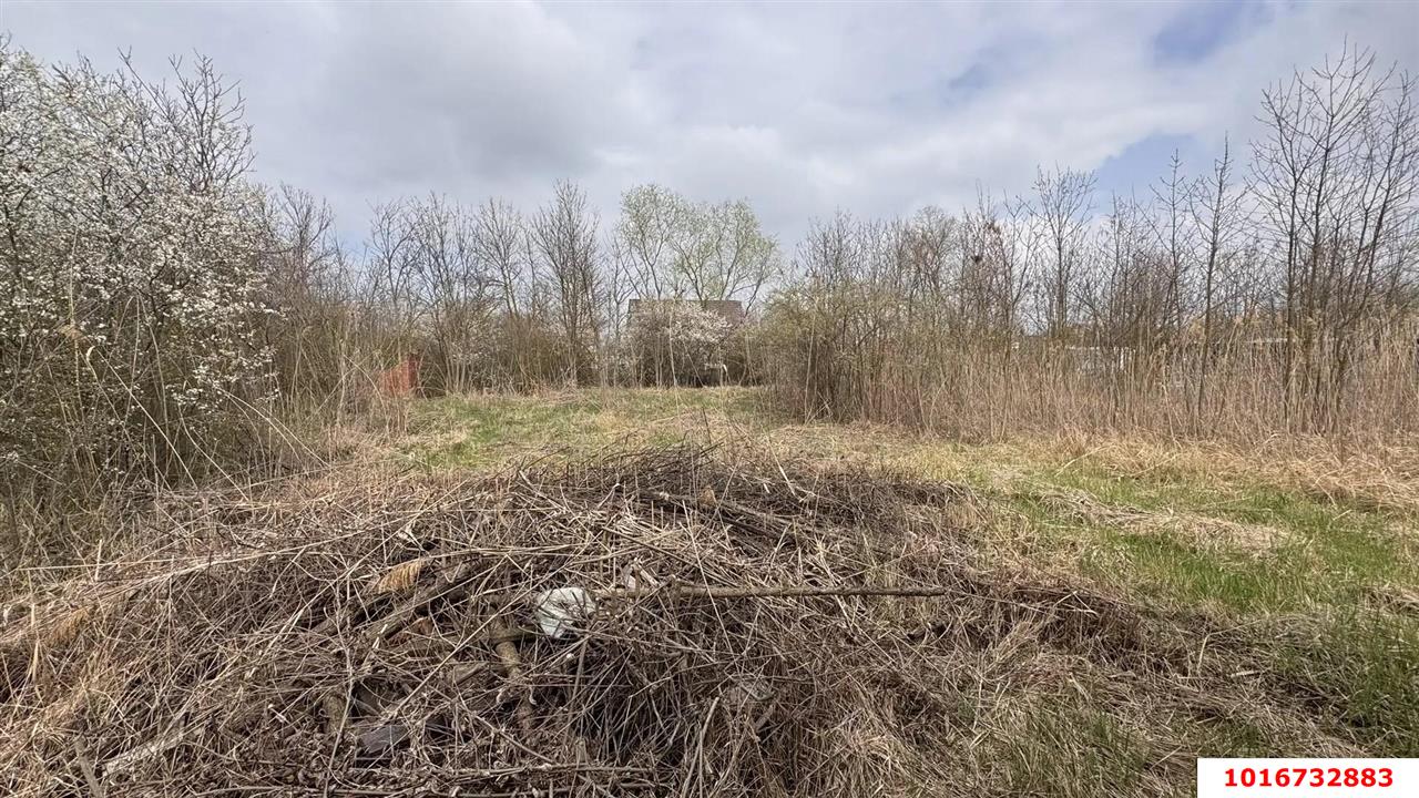 Фото №5: Земельный участок под ИЖС - Первомаец, ул. Центральная