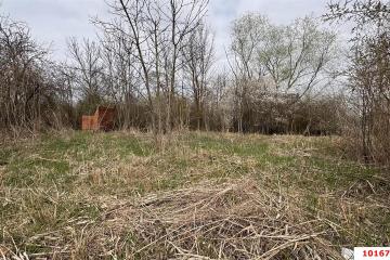 Фото №3: Земельный участок под ИЖС - Первомаец, ул. Центральная