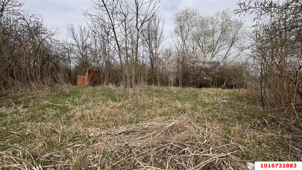 Фото №3: Земельный участок под ИЖС - Первомаец, ул. Центральная