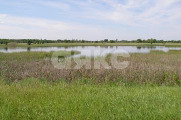 Фото №2: Земельный участок - Зубаревка, 