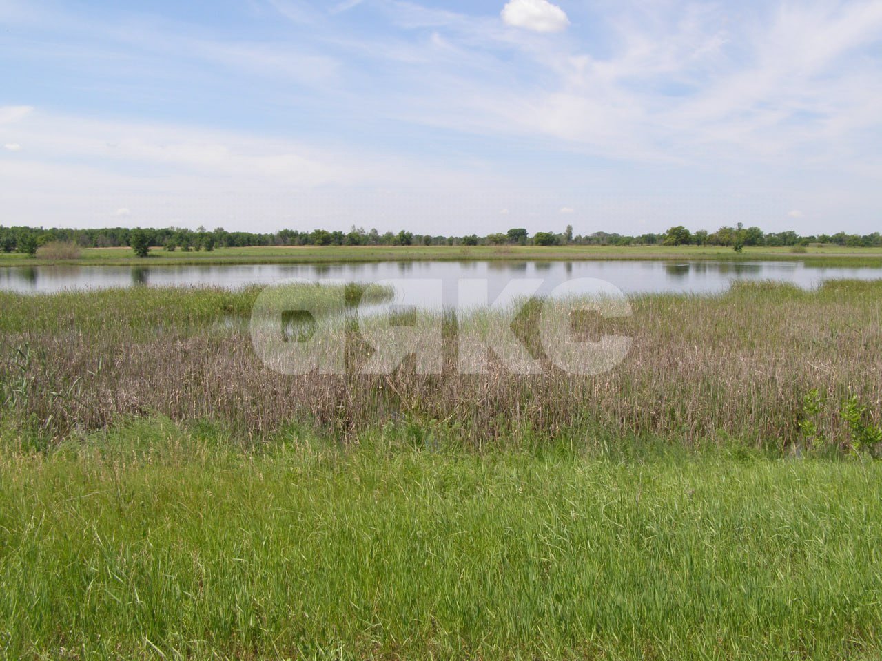 Фото №2: Земельный участок 1100 сот. - Зубаревка