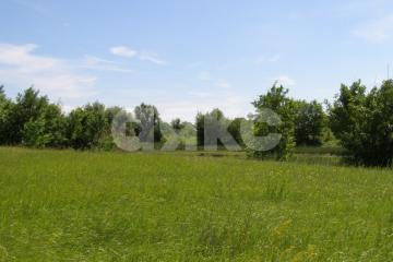 Фото №1: Земельный участок - Зубаревка, 