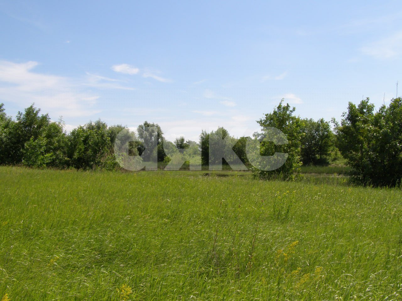 Фото №1: Земельный участок 1100 сот. - Зубаревка