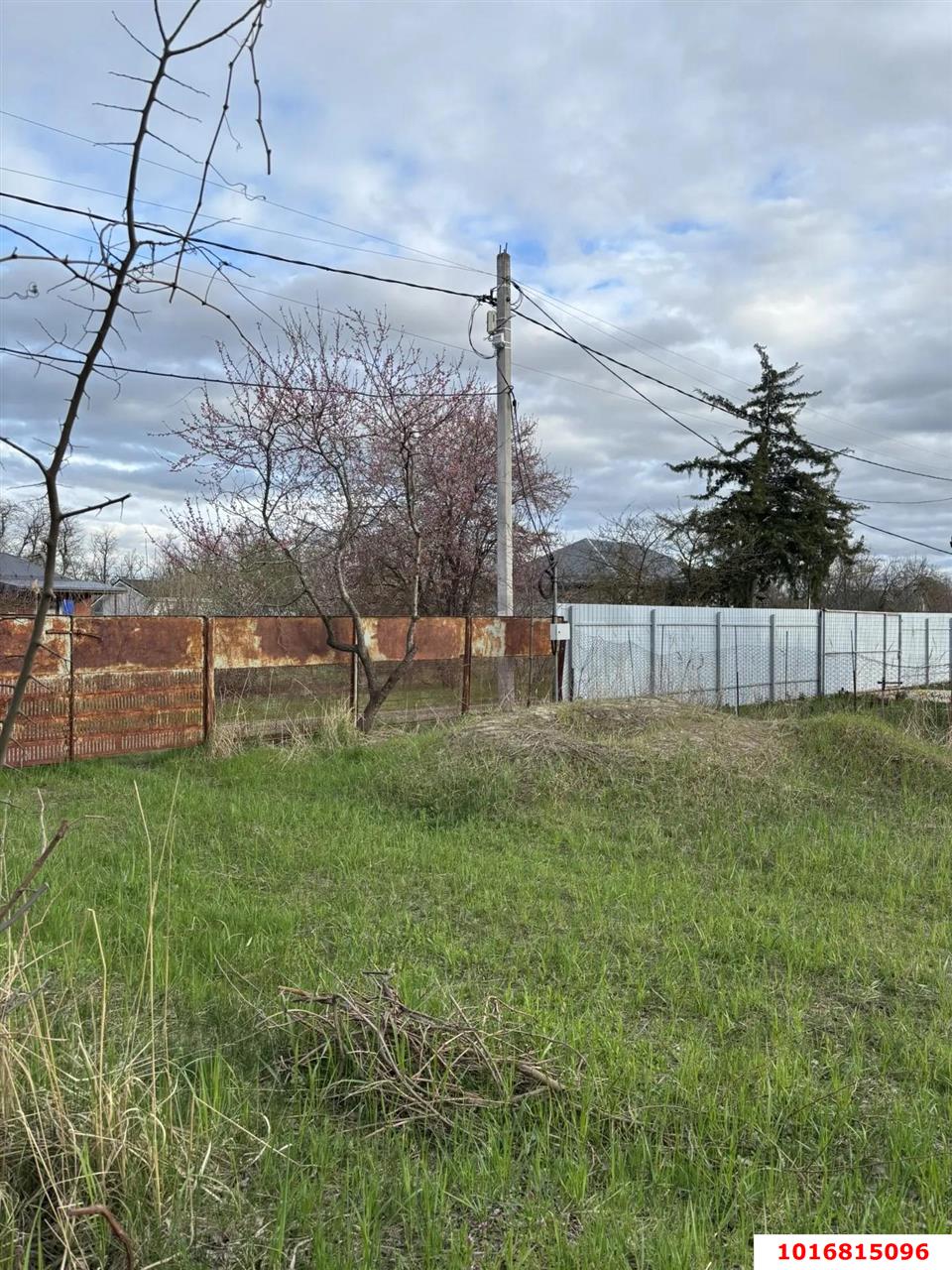 Фото №11: Личное подсобное хозяйство - Динская, днт Дачник, ул. Изумрудная, 15