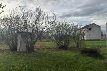 Фото №4: Личное подсобное хозяйство - Динская, днт Дачник, ул. Изумрудная, 15