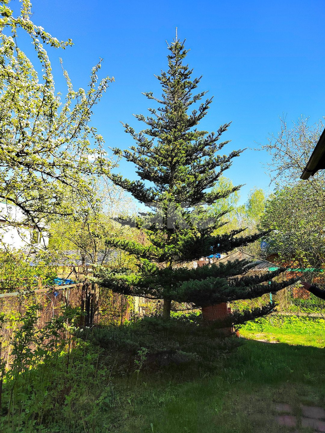 Фото №19: Дача 40 м² + 6 сот. - СНТ Эврика, 140