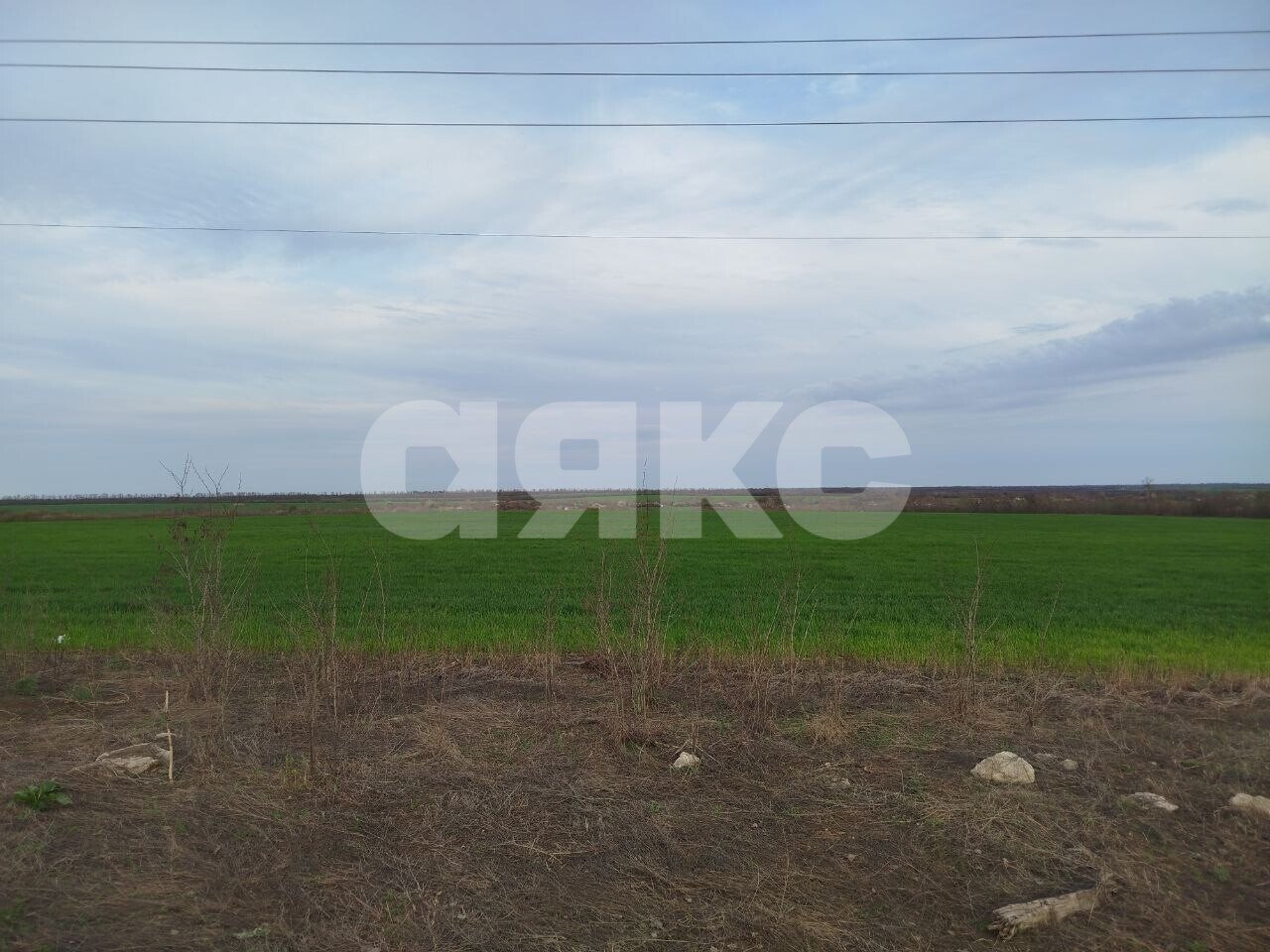 Фото №3: Коммерческая земля 39800 сот. - Донецкая Народная Республика муниципальный округ Новоазовский