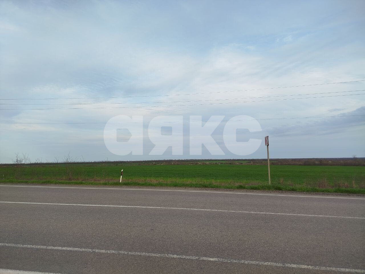 Фото №2: Коммерческая земля 39800 сот. - Донецкая Народная Республика муниципальный округ Новоазовский