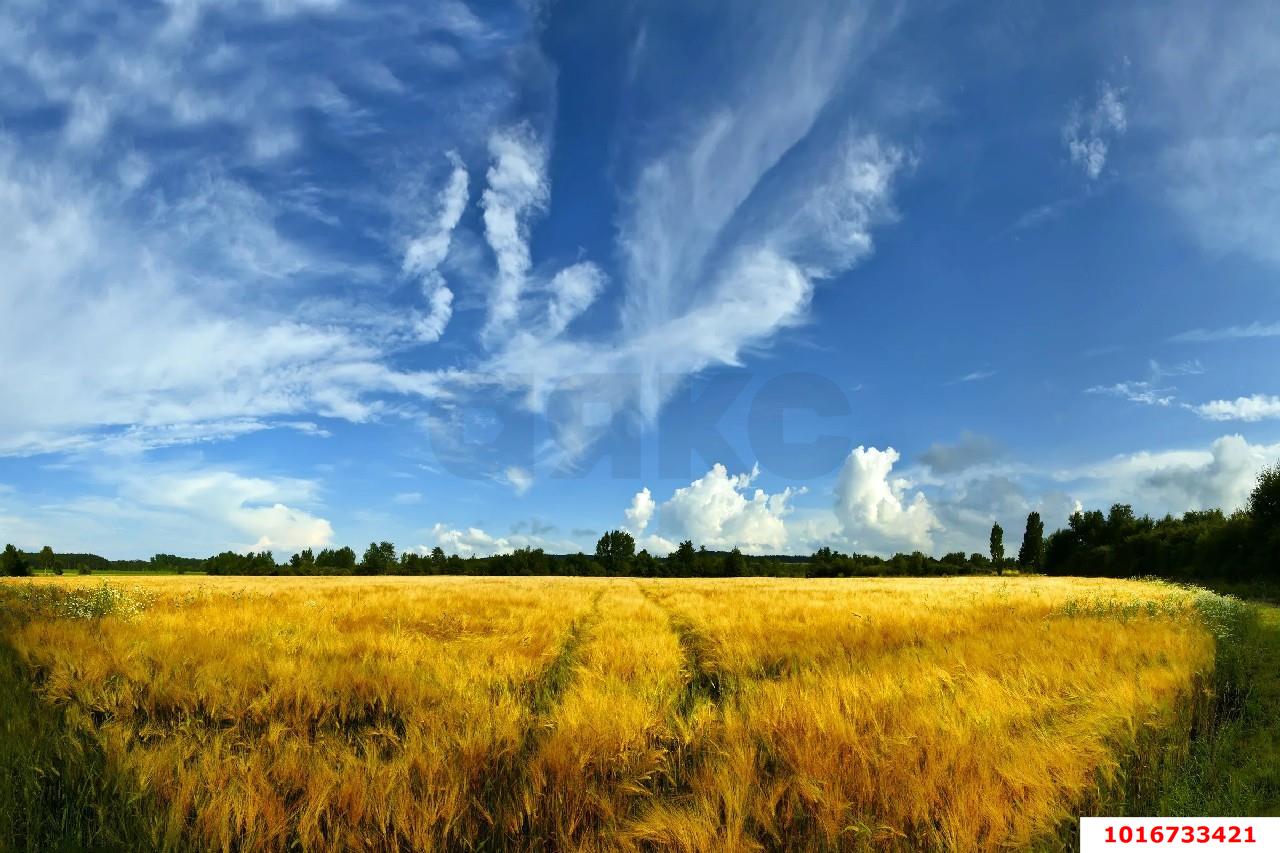 Фото №1: Земельный участок под ИЖС - Краснодар, мкр. Прикубанский внутригородской округ