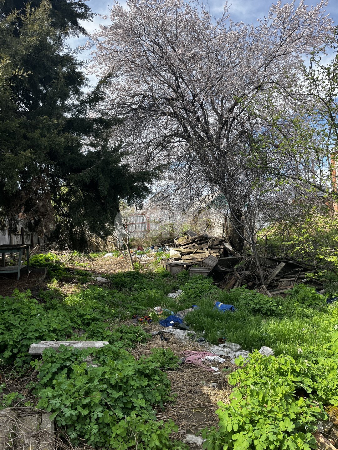 Фото №6: Дом 44 м² + 6 сот. - Армавир, мкр. Кирпичный, ул. Кирпичная, 13