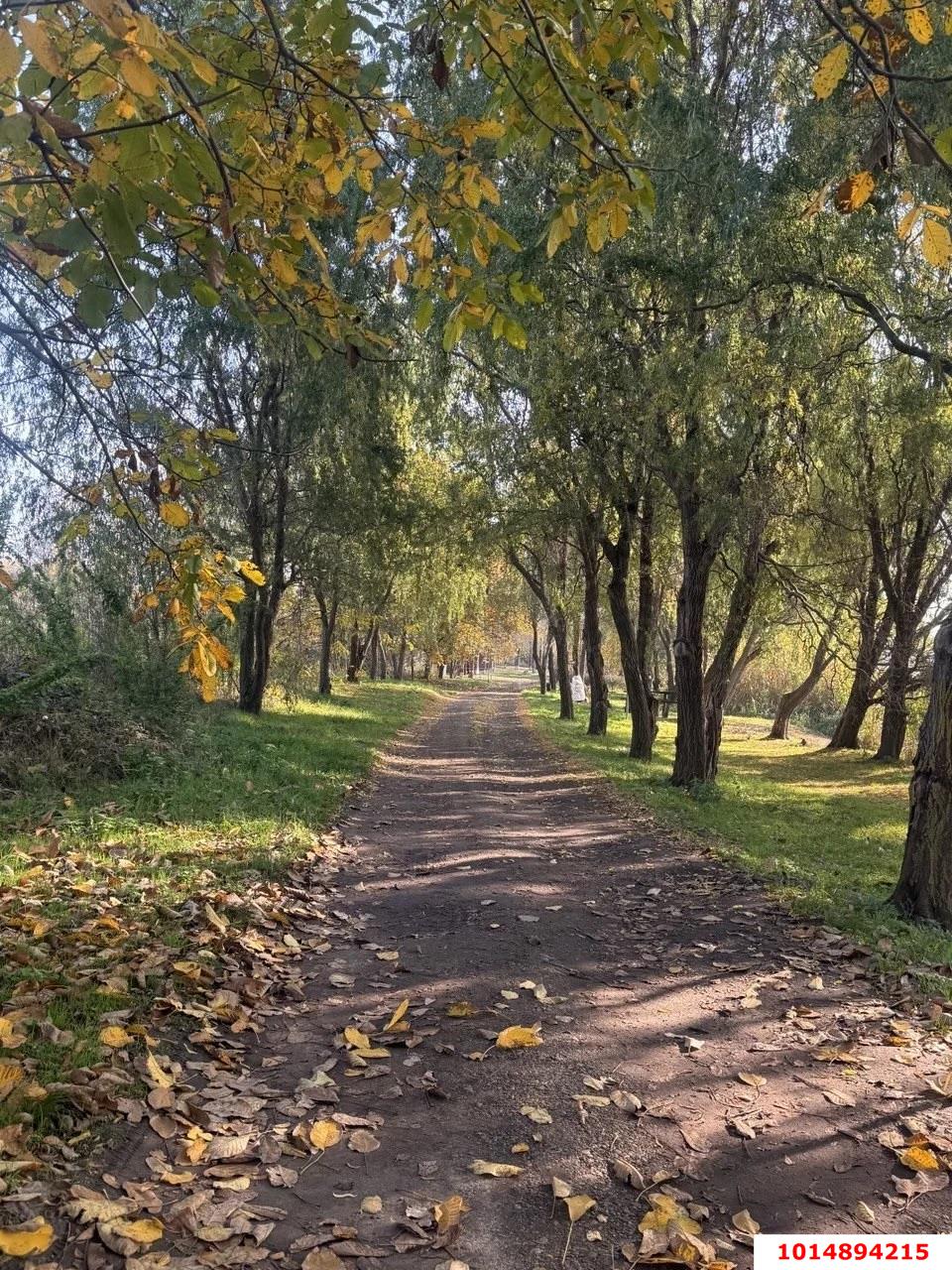 Фото №16: Дом 424 м² + 40 сот. - Украинский, ул. Первомайская, 83