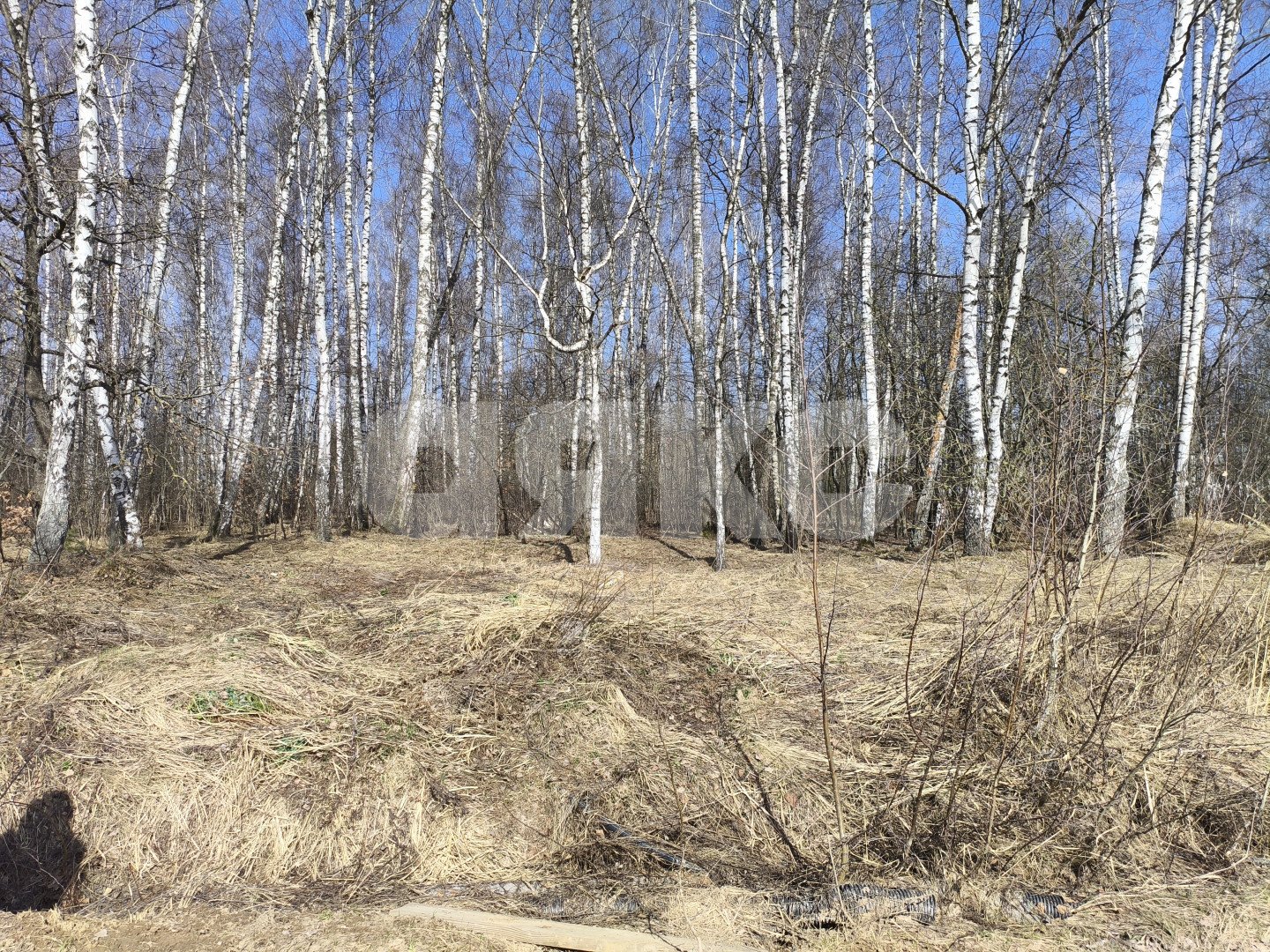 Фото №4: Земельный участок под ИЖС 6.02 сот. - Московская область Раменский муниципальный округ