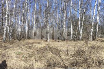 Фото №3: Земельный участок под ИЖС - Московская область Раменский муниципальный округ