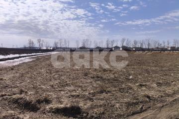 Фото №4: Земельный участок под ИЖС - Московская область Раменский муниципальный округ