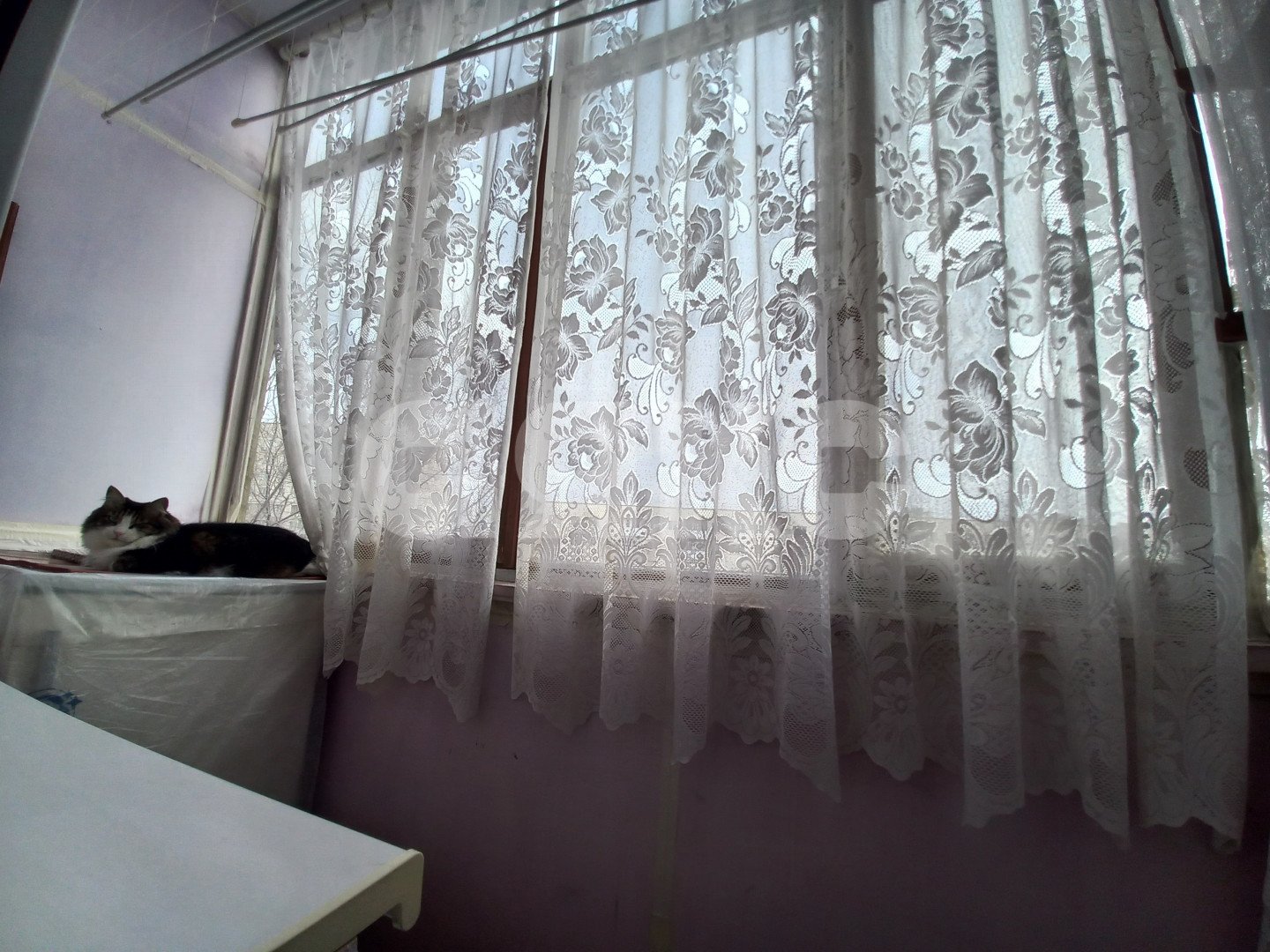 Фото №9: 2-комнатная квартира 44 м² - Волгоград, р. Краснооктябрьский, ул. Маршала Ерёменко, 15