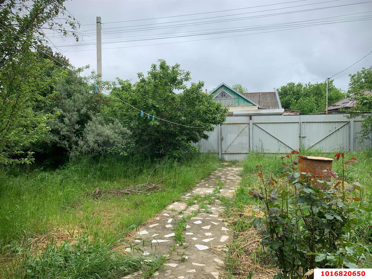 Фото №6: Личное подсобное хозяйство - Кубанская Нива, мкр. Прикубанский внутригородской округ, ул. Цветочная, 789