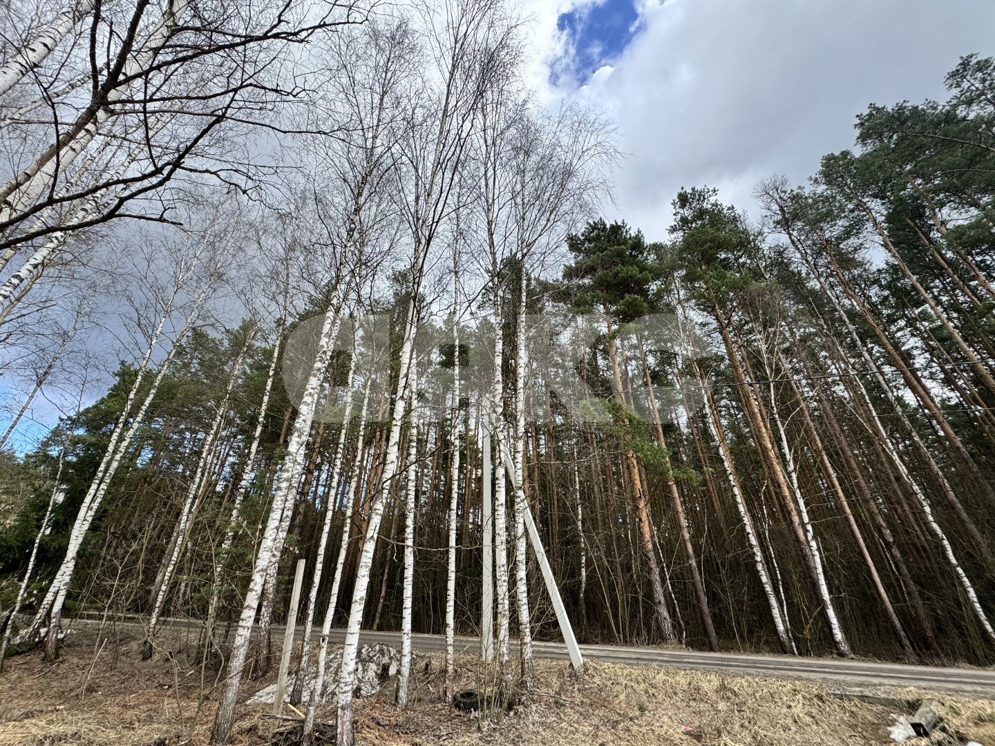 Фото №3: Земельный участок под ИЖС 9 сот. - Ильинский Погост