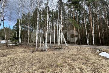 Фото №2: Земельный участок под ИЖС - Ильинский Погост, 