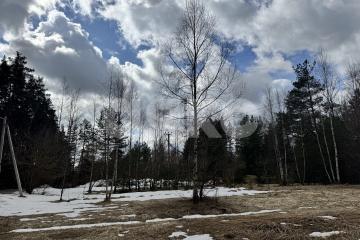 Фото №5: Земельный участок под ИЖС - Ильинский Погост, 