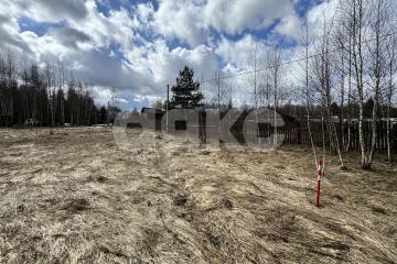 Фото №3: Земельный участок под ИЖС - Ильинский Погост, 