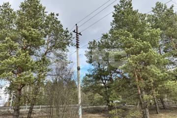 Фото №1: Земельный участок под ИЖС - Ильинский Погост, 